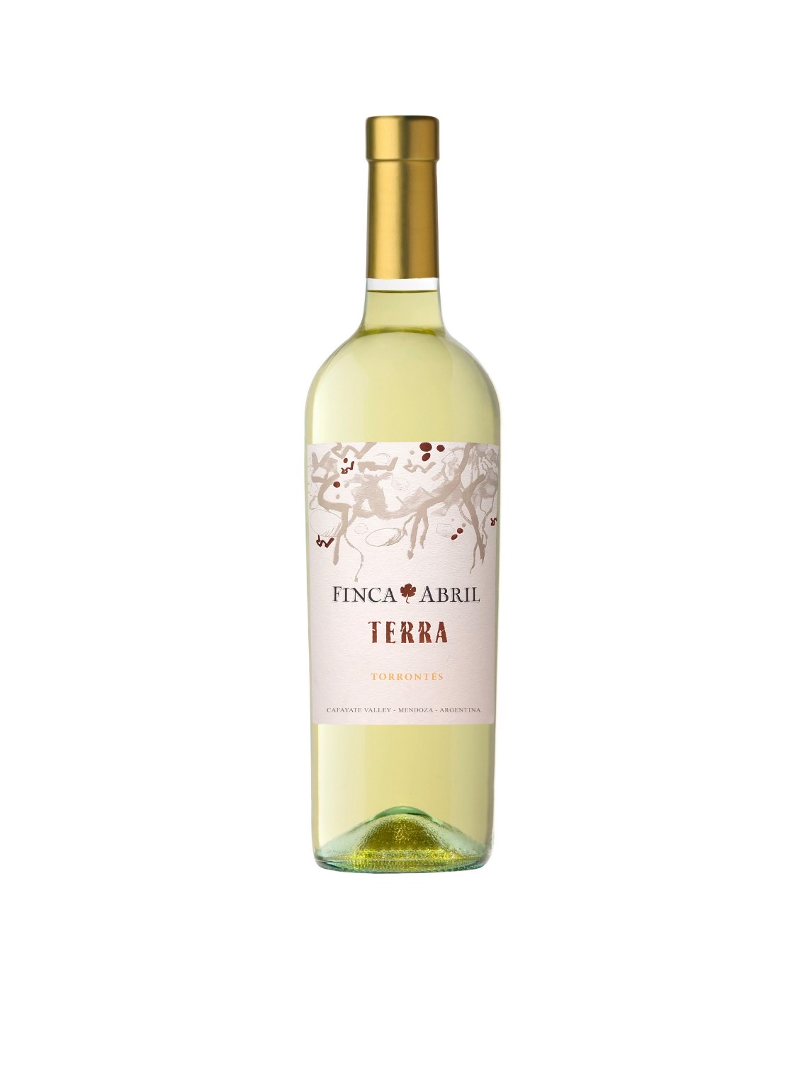 FA Terra torrontes